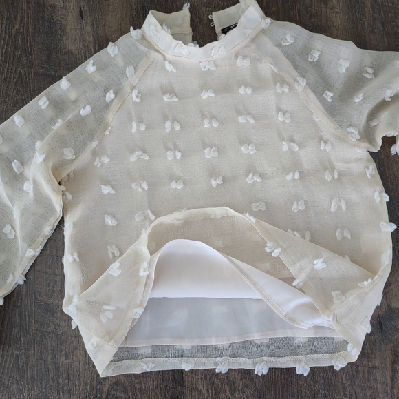 SHEIN cream tufted sheer top with cream lining, gathered sleeve cuffs, mock neck - Picture 13 of 15